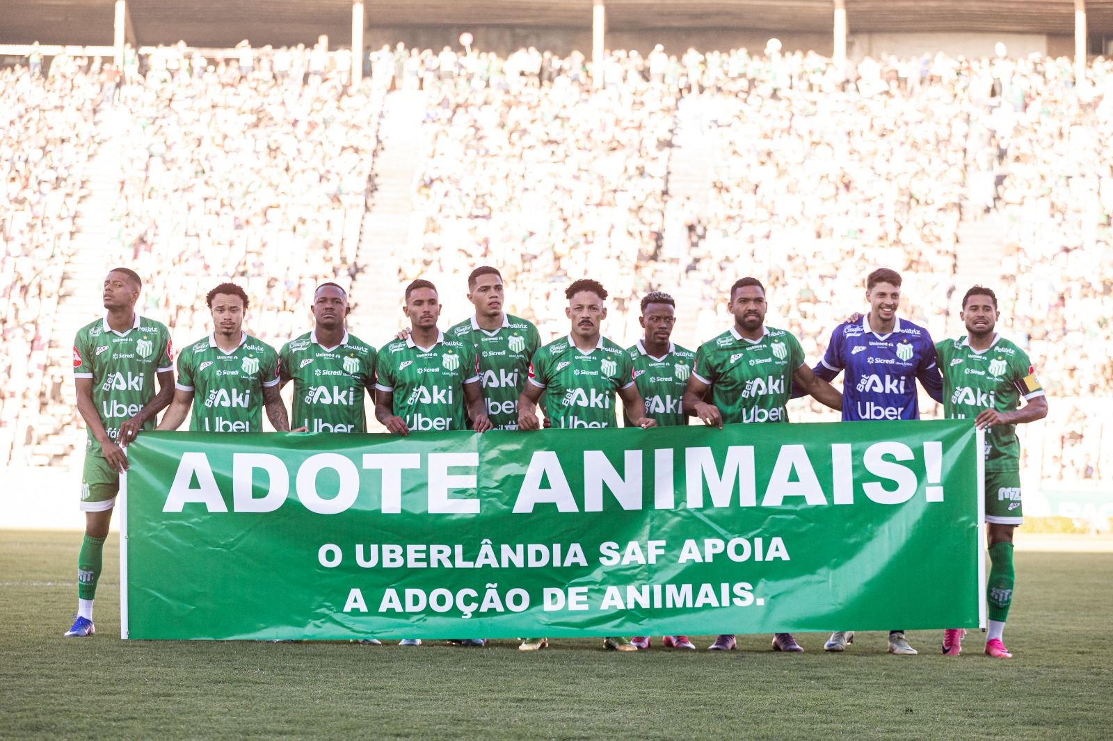 Uberlândia SAF promove campanha de incentivo à adoção responsável de animais